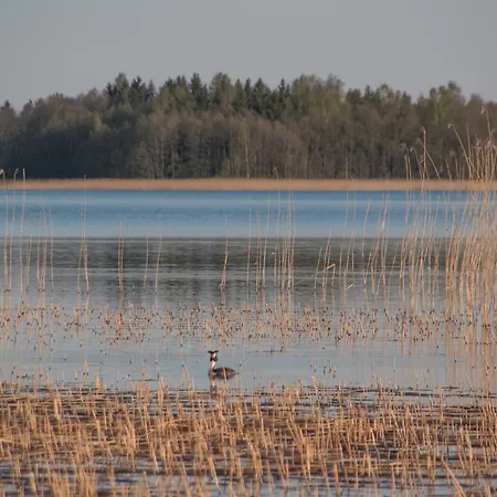 Mokko Lakehouse Kuremaa