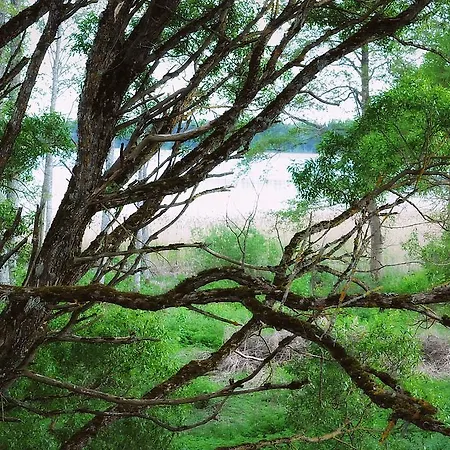 Holiday home Mokko Lakehouse