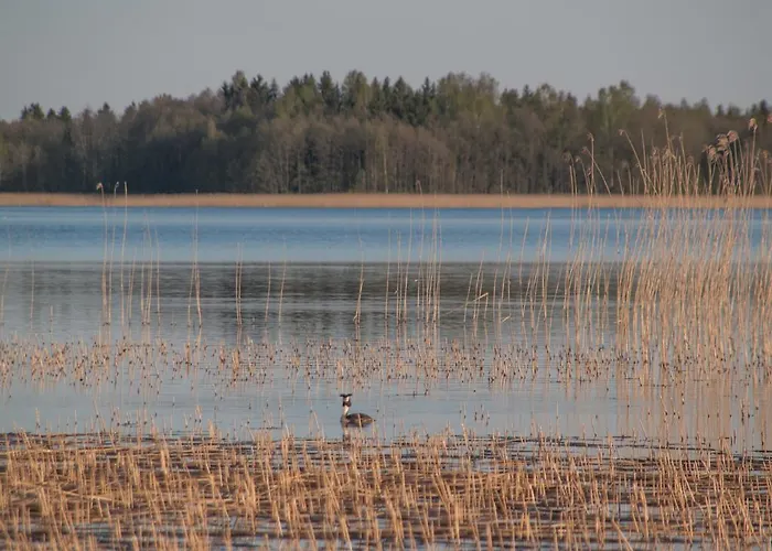 Mokko Lakehouse Kuremaa