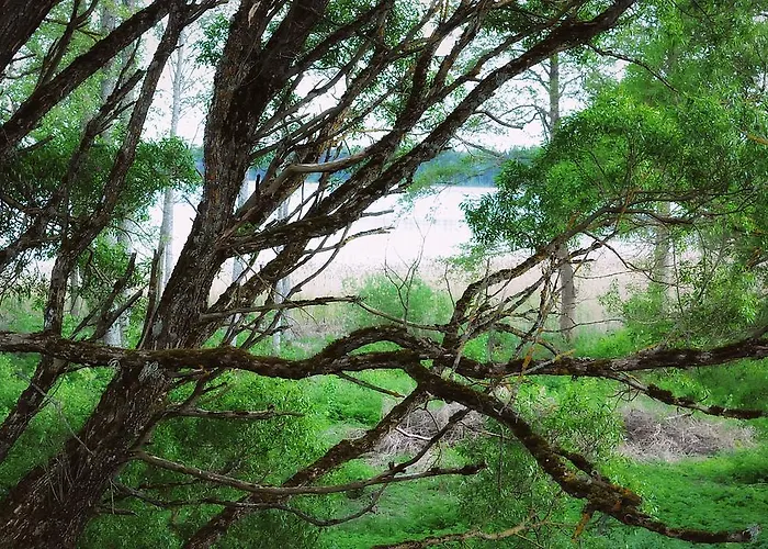 Holiday home Mokko Lakehouse