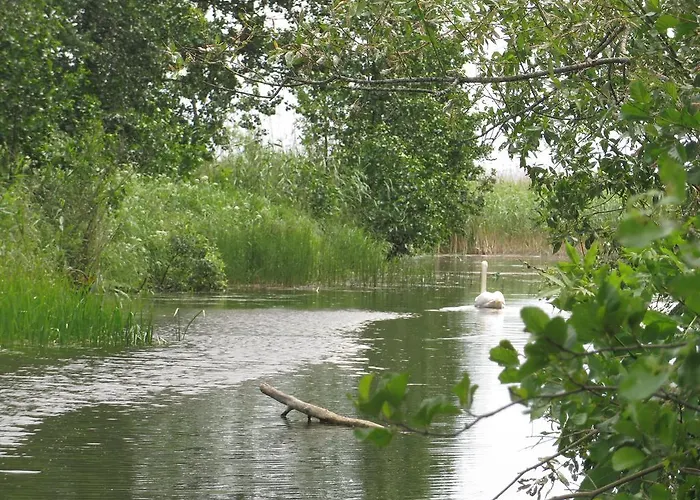 Holiday home Mokko Lakehouse Kuremaa